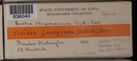Image Associated With the Occurence